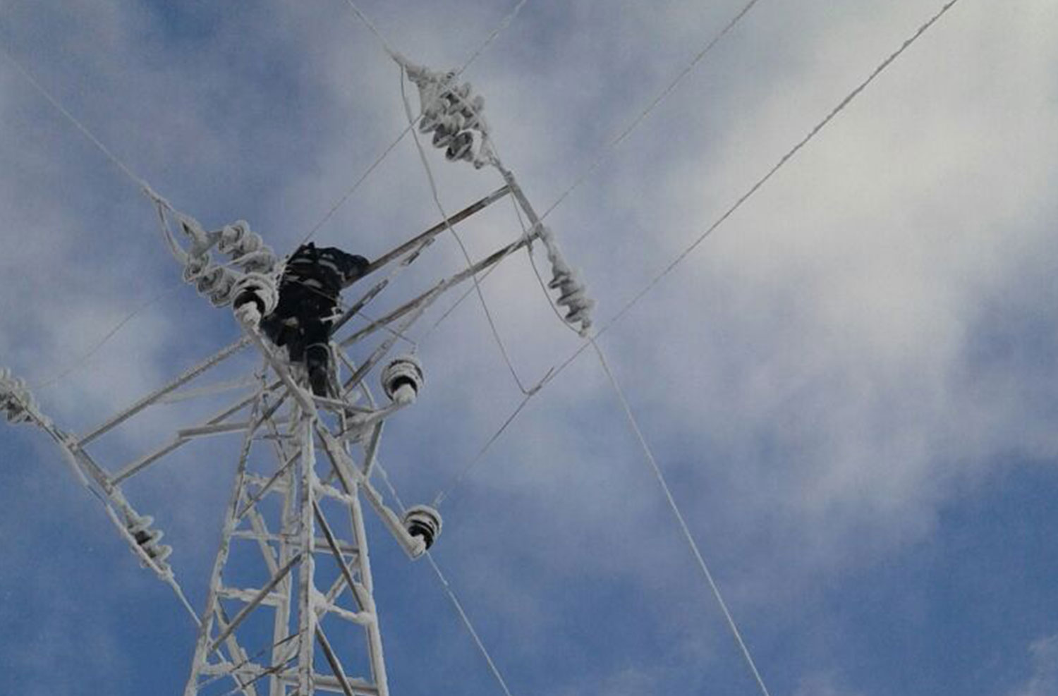  || Mustafa Dutar Group | Electrical Contracting, Agriculture and Livestock, Horizontal Drilling | Services, Comprehensive Maintenance Works, Energy Transmission Lines, Small-Scale Additional Facility Construction Works, Reactive Power Compensation Facility, Project Contracting and Consultancy Services Low Voltage – Medium Voltage Distribution Networks Street, Road & Median Lighting Installations